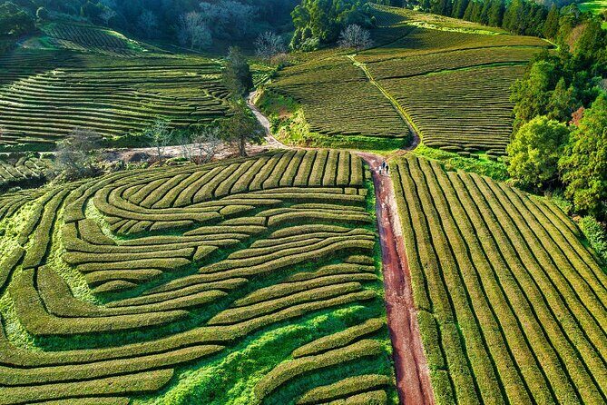 2 x Day Tour pack with lunch included (Furnas + Sete Cidades + Fogo + Nordeste) - FAQs