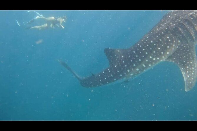 2025 Bohol Customized Tours - A Complete Look at What the Tour Offers