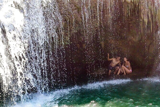 2025 Tarsier, Waterfalls & Chocolate Hills Tour - Price & Value
