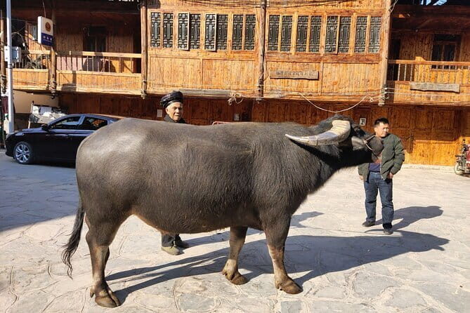 26-Day Private Tour from Chengdu to Guangzhou with the Driver - Authenticity, Comfort, and Cultural Encounters