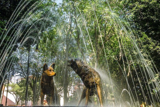 2D: Frida Kahlo Museo(No tiket)-Xochimilco & City CdMx & Pyramids - The Itinerary in Detail