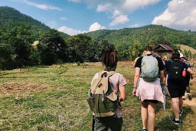 2D1N Mae Wang National Park Jungle Trekking Adventure from Chiang Mai - The Reality of the Itinerary