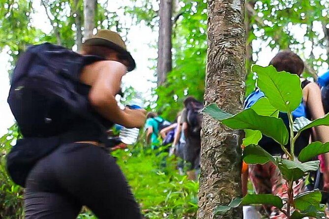 2D1N Mae Wang National Park Jungle Trekking Adventure from Chiang Mai - FAQ - Your Questions Answered