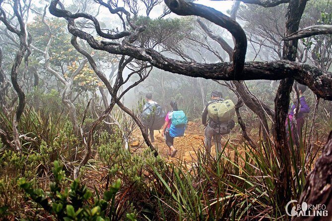 2d1n Mount Kinabalu Via Ferrata - Walk The Torq - Who Should Consider This Tour