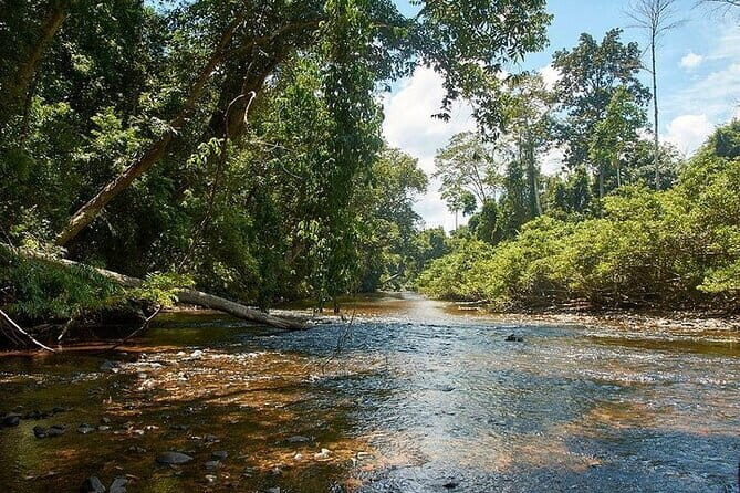 2D1N Taman Negara Explorer Tour from Kuala Lumpur - Introduction