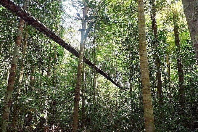 2D1N Taman Negara Explorer Tour from Kuala Lumpur - Authentic Tips and Insights from Reviews