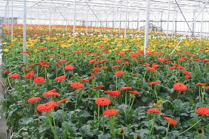 2DAY TOUR DA LAT to MUI NE - Possible Considerations