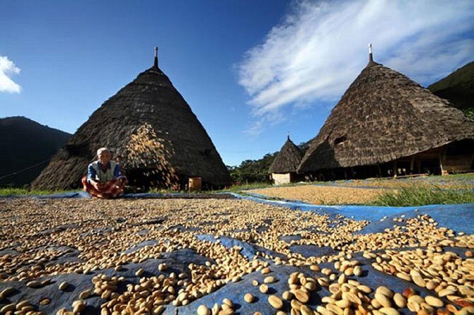 2Days - Cultural Tour to Wae Rebo Village - What Travelers Say: Authentic Experiences and Scenery