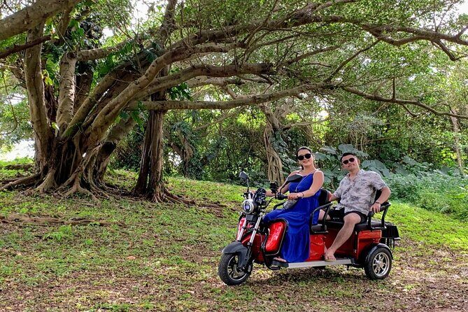2h 3-seater electric trike rental (Ishigaki, Okinawa) - Authenticity & Scenic Highlights