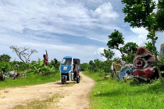 2h 3-seater electric trike rental (Ishigaki, Okinawa) - Who Would Love This Experience?