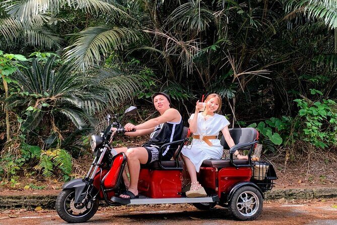 2h 3-seater electric trike rental (Ishigaki, Okinawa) - FAQ