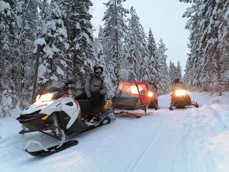 2h private snowmobile experience in Rovaniemi's forest - Key Points