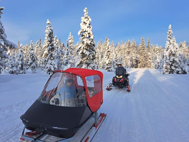 2h private snowmobile experience in Rovaniemi's forest - An In-Depth Look at the Experience