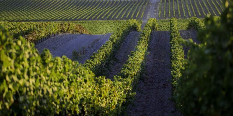 2hr Cork Safari in a Classical Land Rover - Key Points