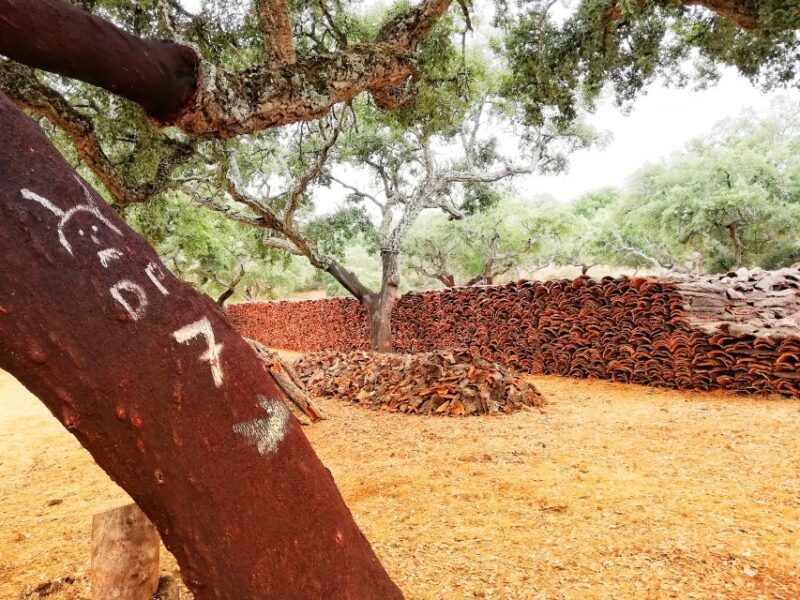 2hr Cork Tour in a Jeep - FAQ