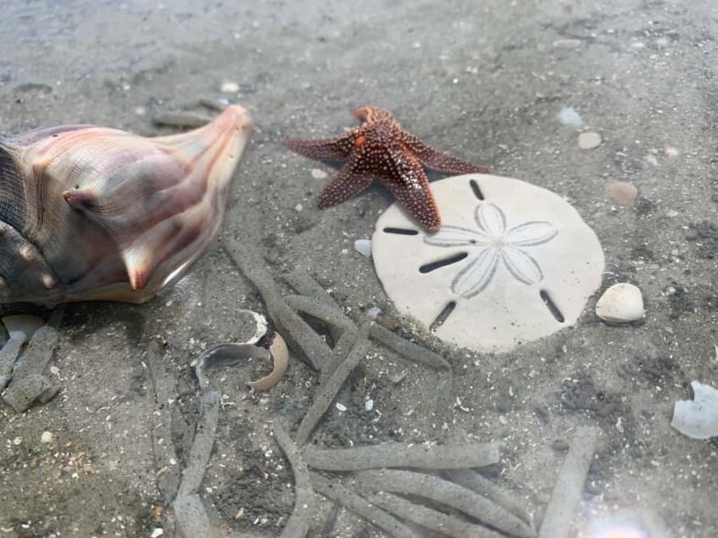 2hr Private River Cruise with stop at Morris Island - An In-Depth Look at the 2-Hour Private River Cruise