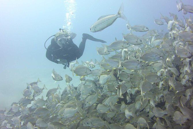 2x diving package, on request including refreshment - Key Points