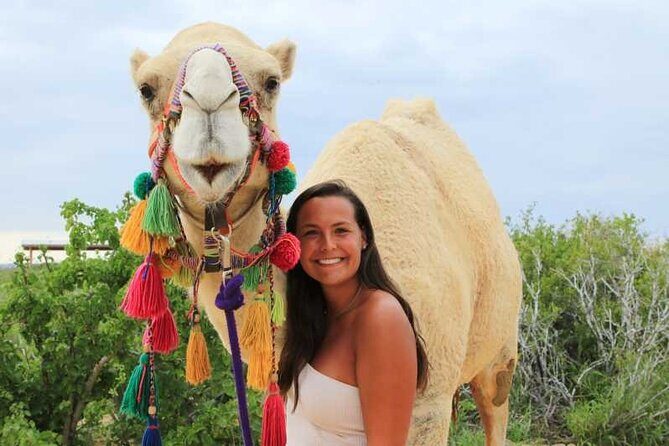 2x1 Tour: Cabo San Lucas Arch + Camels Ride + Pick up! - Frequently Asked Questions