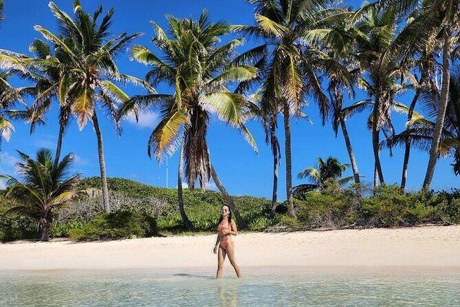 2x1 Tour: Isla Contoy, Isla Mujeres, Open Bar, Lunch and Transfers - What the Reviews Tell Us