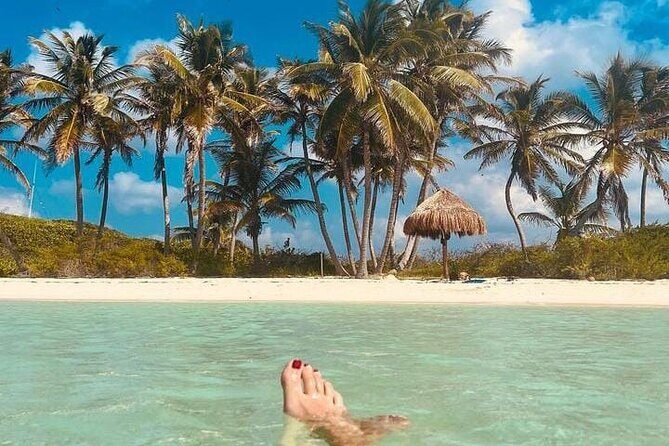 2x1 Tour: Isla Contoy, Isla Mujeres, Open Bar, Lunch and Transfers - FAQs