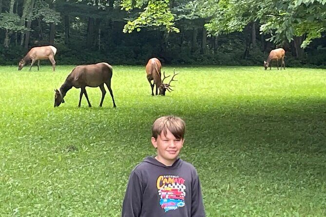 3 - 3.5 HR Smoky Mtn. Cherokee Eco Elk Safari Jeep Adventure - FAQ