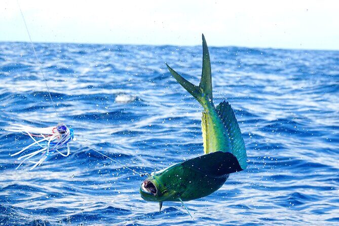 3/4 Day 7 Hour Offshore Fishing Charter - FAQs