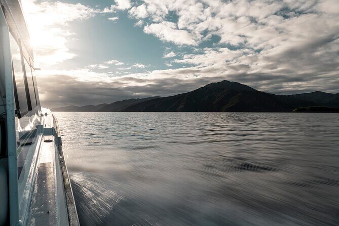 3.5 Hour Marlborough Sounds Delivery Cruise - What You’ll See and Experience