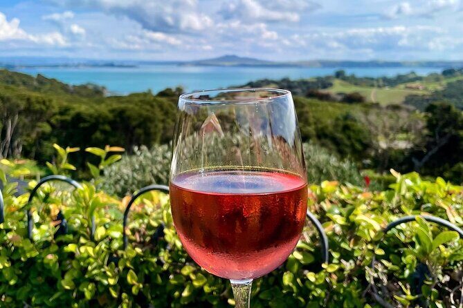 3.5 hour Sunset Tour on Waiheke Island - The Itinerary: What to Expect at Each Stop