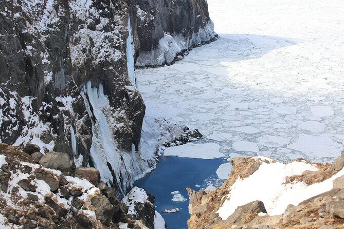 3.5hours Primeval Forest Snowshoe hike and Wildlife Watching Tour - Exploring the Details of the Tour