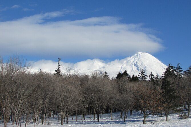 3.5hours Primeval Forest Snowshoe hike and Wildlife Watching Tour - Final Thoughts: The Value of an Authentic Wilderness Adventure in Shiretoko