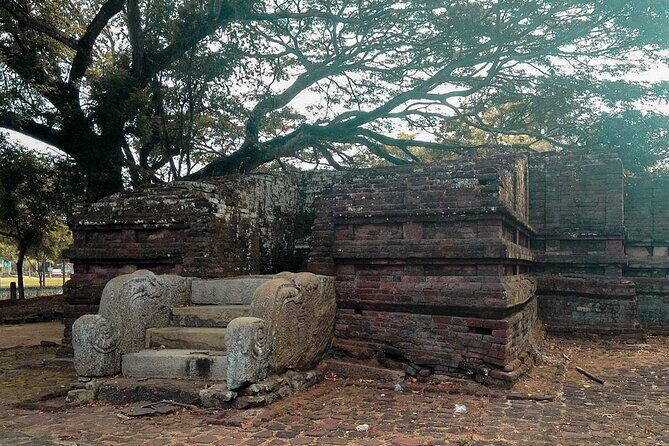 3 Ancient Kingdoms from Colombo - Who Will Love This Tour?