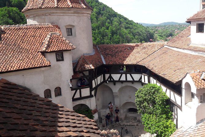 3-Castle: Peles,Bran,Rasnov,Sinaia Monastery from Brasov w pickup - Who Should Book This Tour?