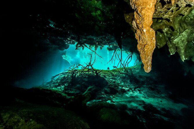 3 Cenote Dives - Casa & Dos Ojos - Who Will Enjoy This Experience?