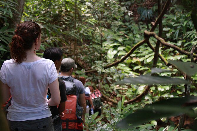 3 Day 2 Nights Jungle in Huay Nam Dung National Park - Key Points