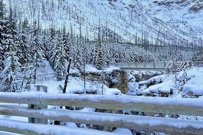 3 Day Adventure Johnston Canyon and Lake Louise - Key Points