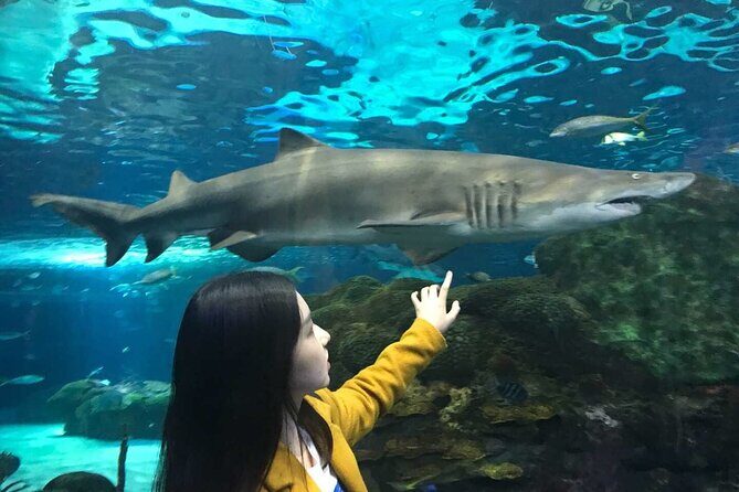 3 Day and 2 Night Tour: Toronto, 1000 Islands, and Niagara Falls - Introduction