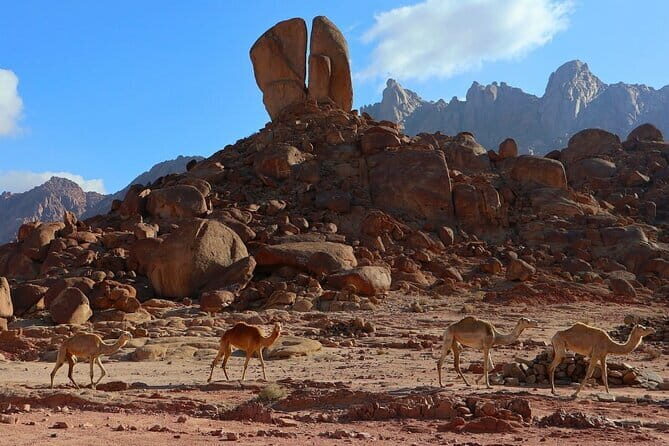 3 Day Archaeological Tour At Jabal Al Lawz - An Honest Look at the 3-Day Archaeological Journey