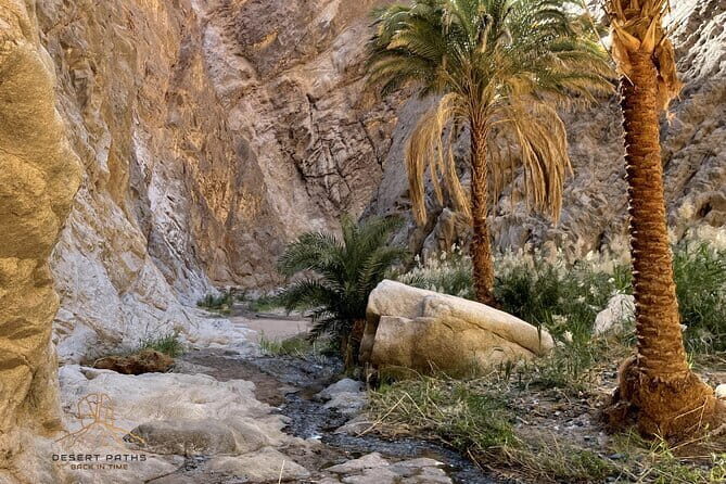3 Day Archaeological Tour At Jabal Al Lawz - Meal Options and Optional Extras