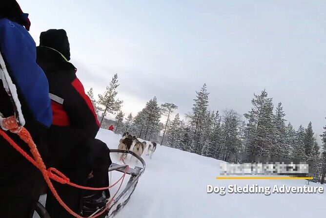 3-Day Aurora Viewing Tour from Whitehorse Canada - FAQ