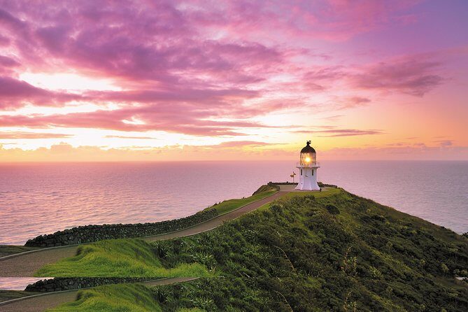 3 Day Bay Of Islands Tour from Auckland including Waitangi and Cape Reinga - An Overview of the Tour Experience