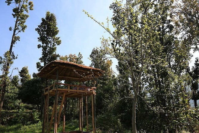 3 Day Camping Trip to Binsar Wildlife Sanctuary - Transportation and Logistics