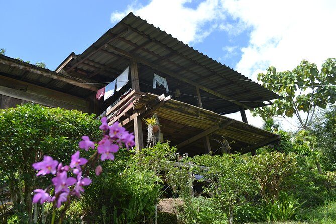 3-Day Chiang Dao Mountain Trek - Introduction