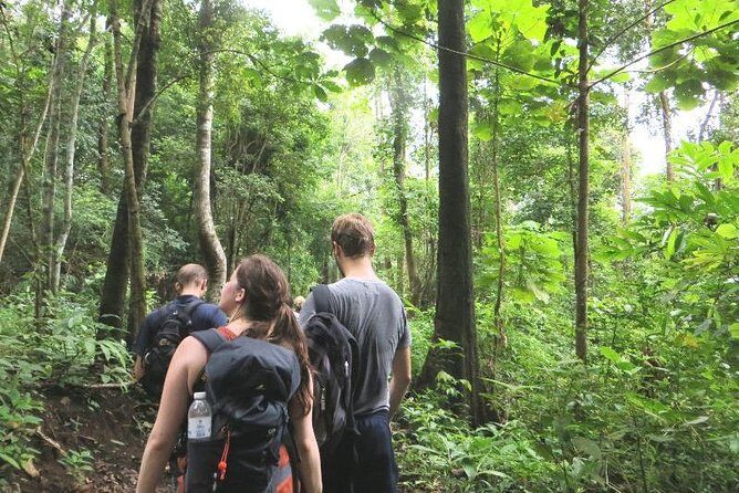 3-Day Chiang Dao Mountain Trek - What Makes This Experience Special
