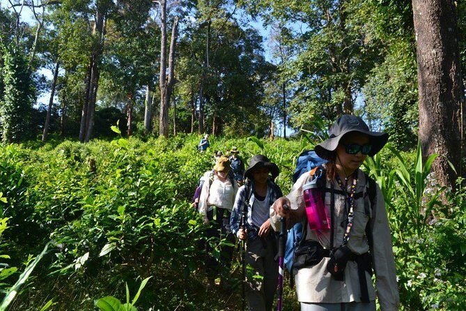 3-Day Chiang Dao Mountain Trek - The Sum Up