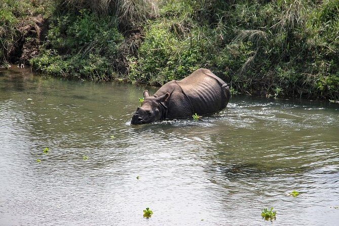 3 Day Chitwan Jungle exploration Tour from Pokhara - Day 1: Arrival and Cultural Introduction