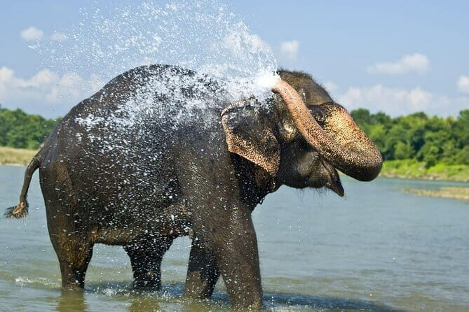 3-Day Chitwan Jungle Safari Adventure From Kathmandu - How This Tour Fits Different Travelers