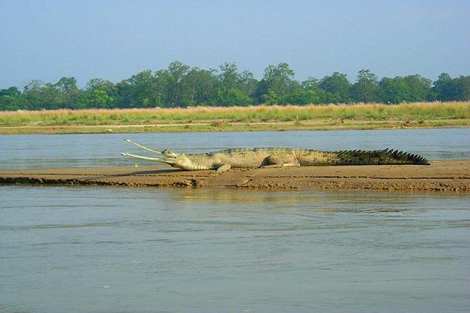 3-Day Chitwan Jungle Safari Tour from Kathmandu - What Makes This Tour Stand Out