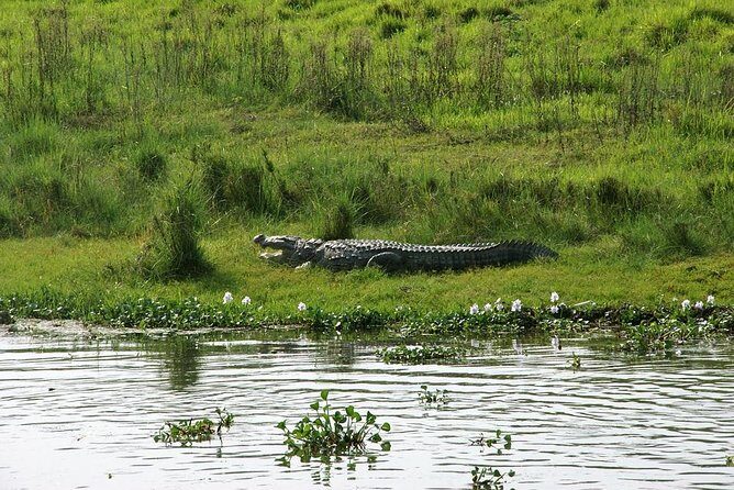 3-Day Chitwan Jungle Safari Tour from Kathmandu - Who Should Consider This Tour?