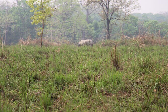3-Day Chitwan National Park Jungle Safari Tour Package with Pick Up - FAQs