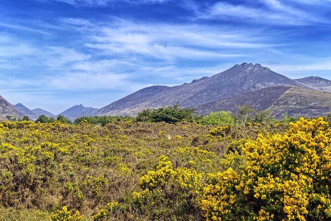 3-Day Discover Northern Ireland Small-Group Tour from Dublin - Why This Tour Works Well